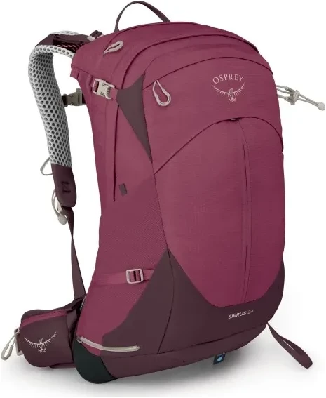 Osprey Sirrus 24 - Elderberry Purple/Chiru Tan